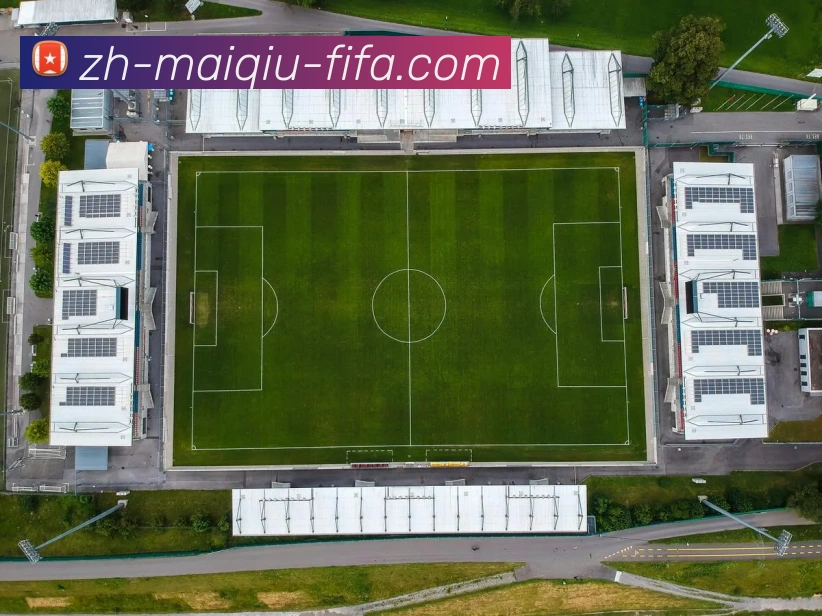 世界杯买球网服务体系